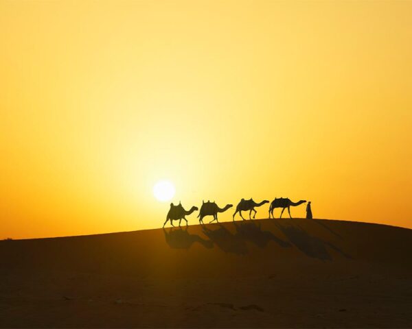 evening-desert-safari-red-desert-travel