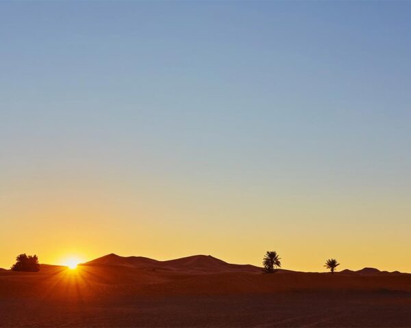 evening-desert-safari-red-desert-travel